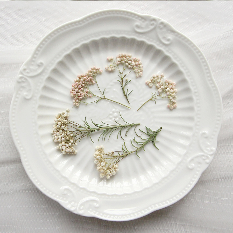 Dried Flower Bookmark - 12 pièces, Branches de fleurs de
