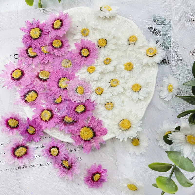 Dried Flower Bookmark - Pétales de fleurs de Murcia naturelles,