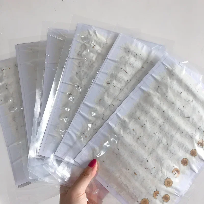 60X pressé séché naturel blanc - Dried Flower Bookmark avis et prix