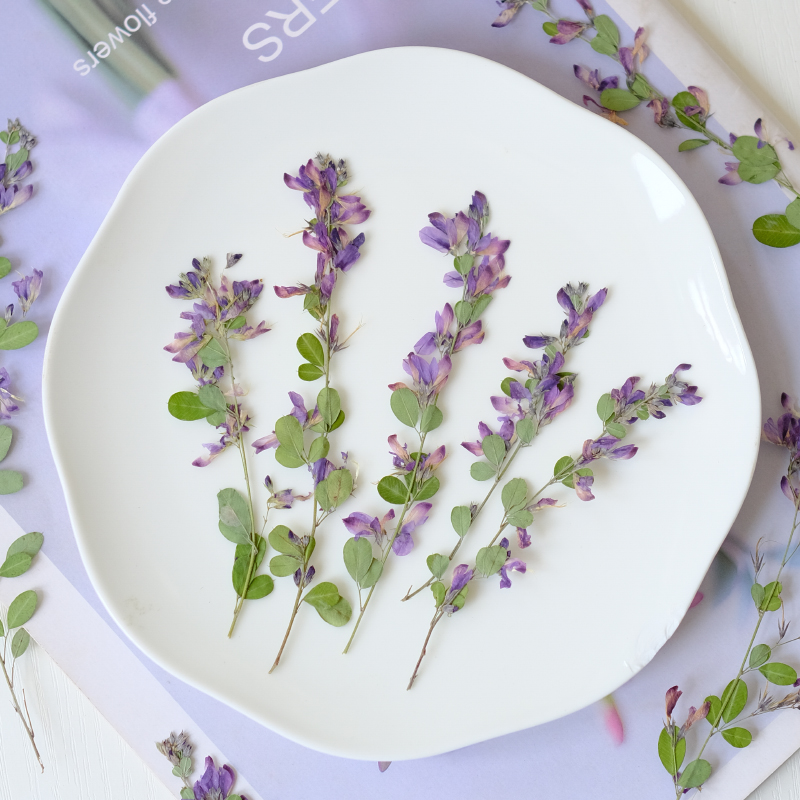 6 pièces, fleurs séchées press - Dried Flower Bookmark avis et prix