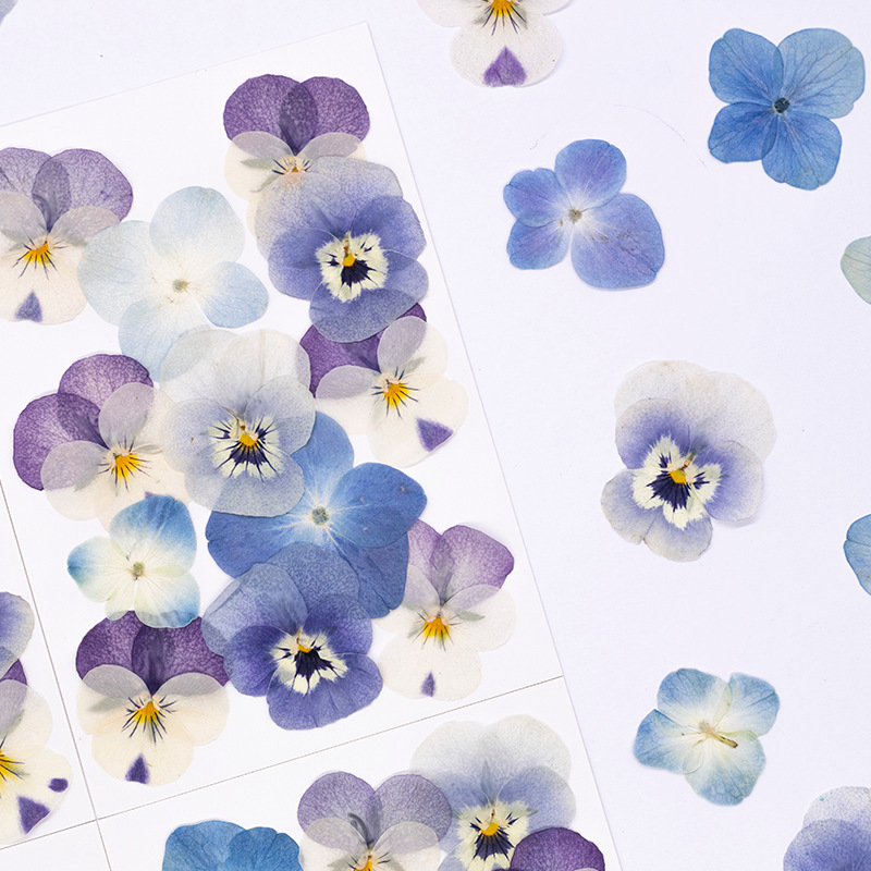 12 pièces, véritables fleurs s - Dried Flower Bookmark avis et prix