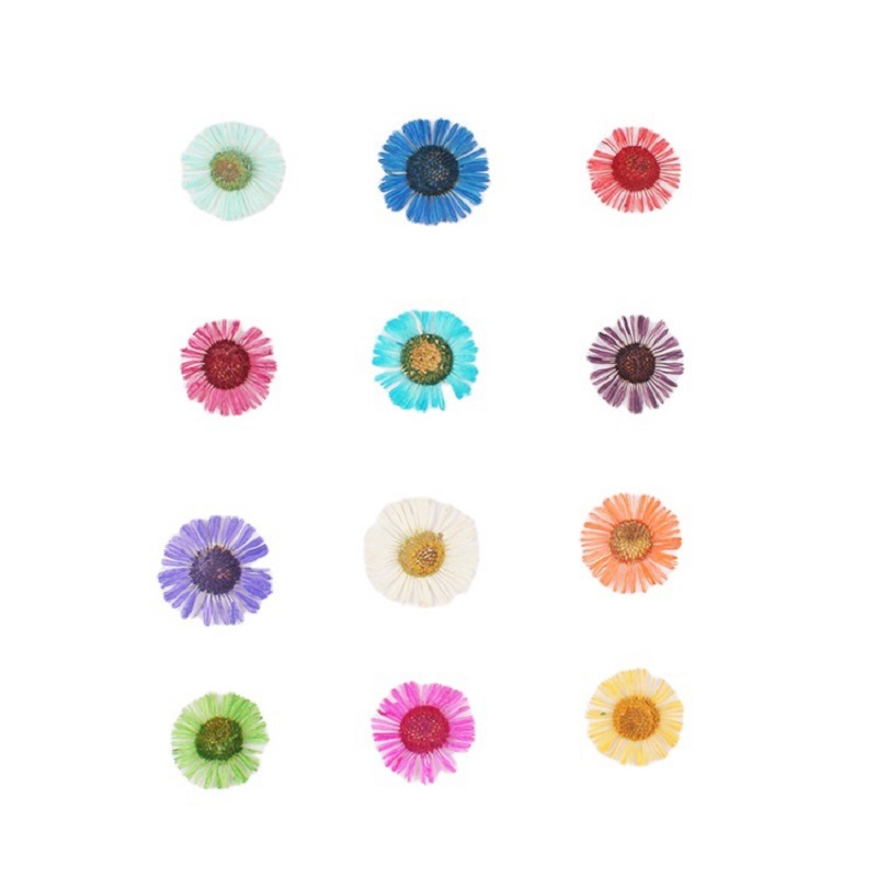 1 Ensemble de fleurs séchées p - Dried Flower Bookmark avis et prix