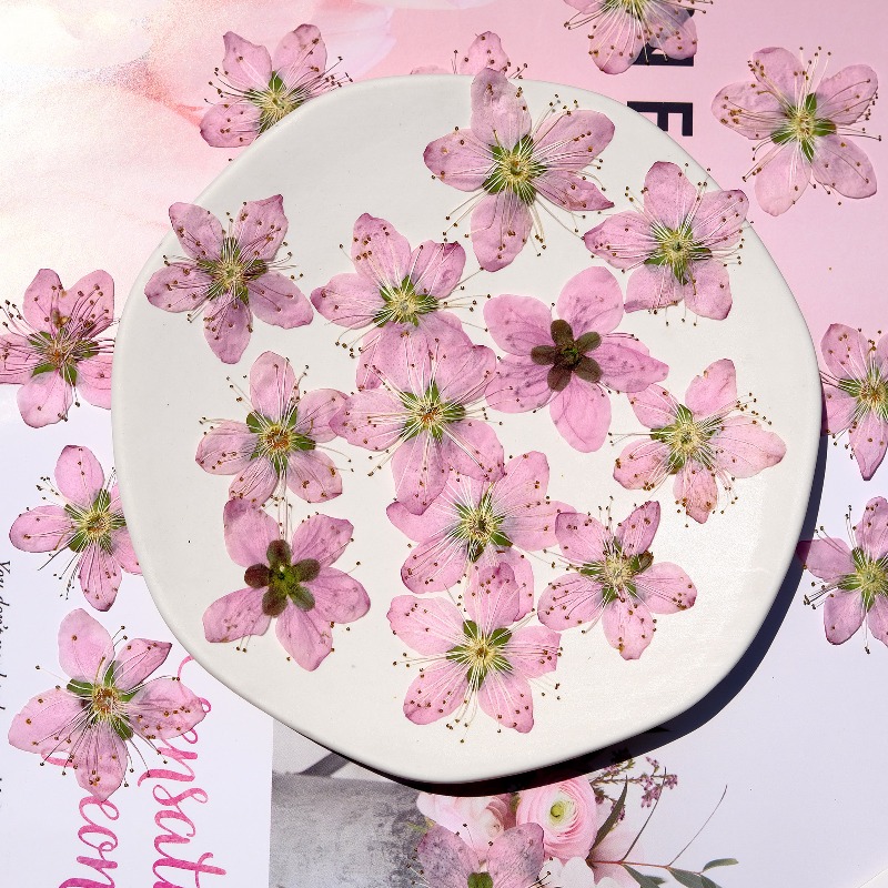 Fleurs séchées pressées de pêc - Dried Flower Bookmark avis et prix