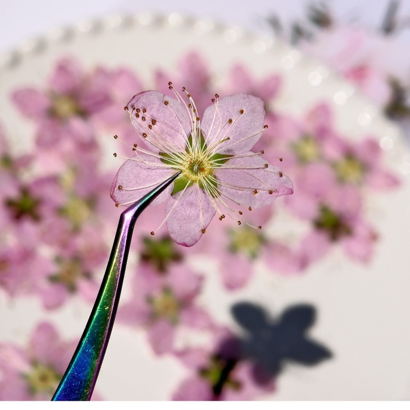 Fleurs séchées pressées de pêc - Dried Flower Bookmark avis et prix