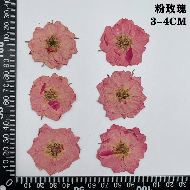 60 pièces pressées séchées rou - Dried Flower Bookmark avis et prix
