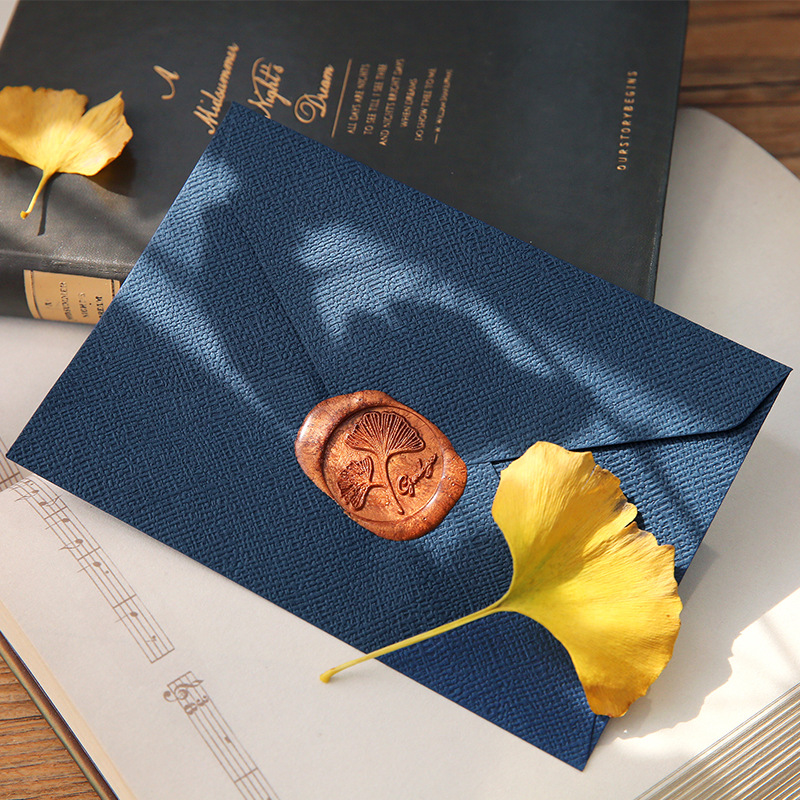 Enveloppe pour lettres, 10 piè - Wax Seal Letter Kit avis et prix