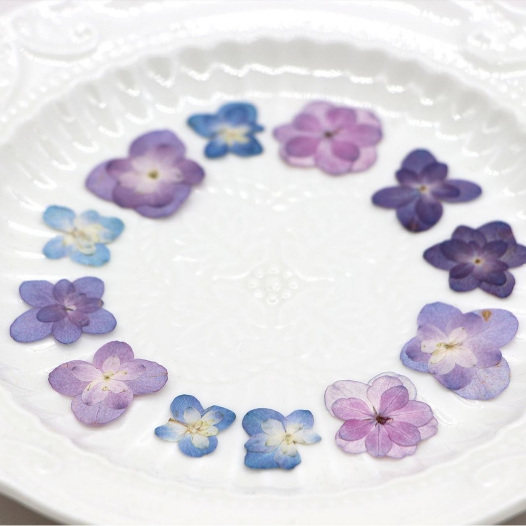 60 mini-hortensias séchés à do - Dried Flower Bookmark avis et prix