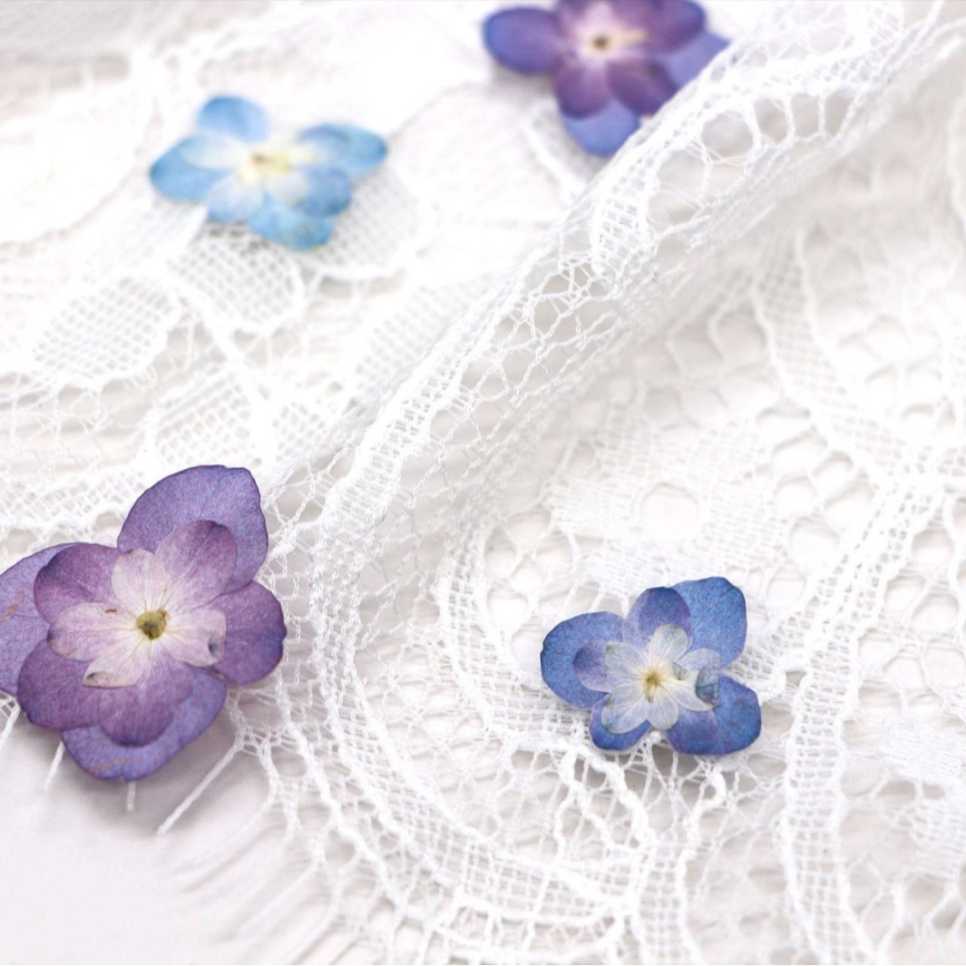 60 mini-hortensias séchés à do - Dried Flower Bookmark avis et prix