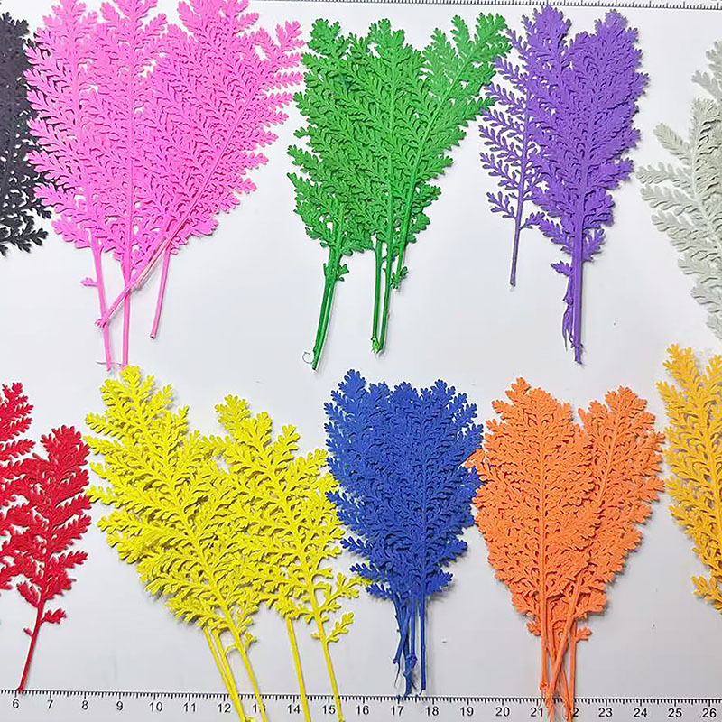100 feuilles de plumes argenté - Dried Flower Bookmark avis et prix